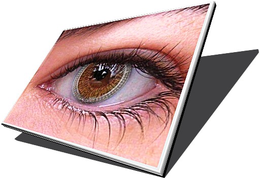 LCD displeje pro notebooky : LCD Noteboky